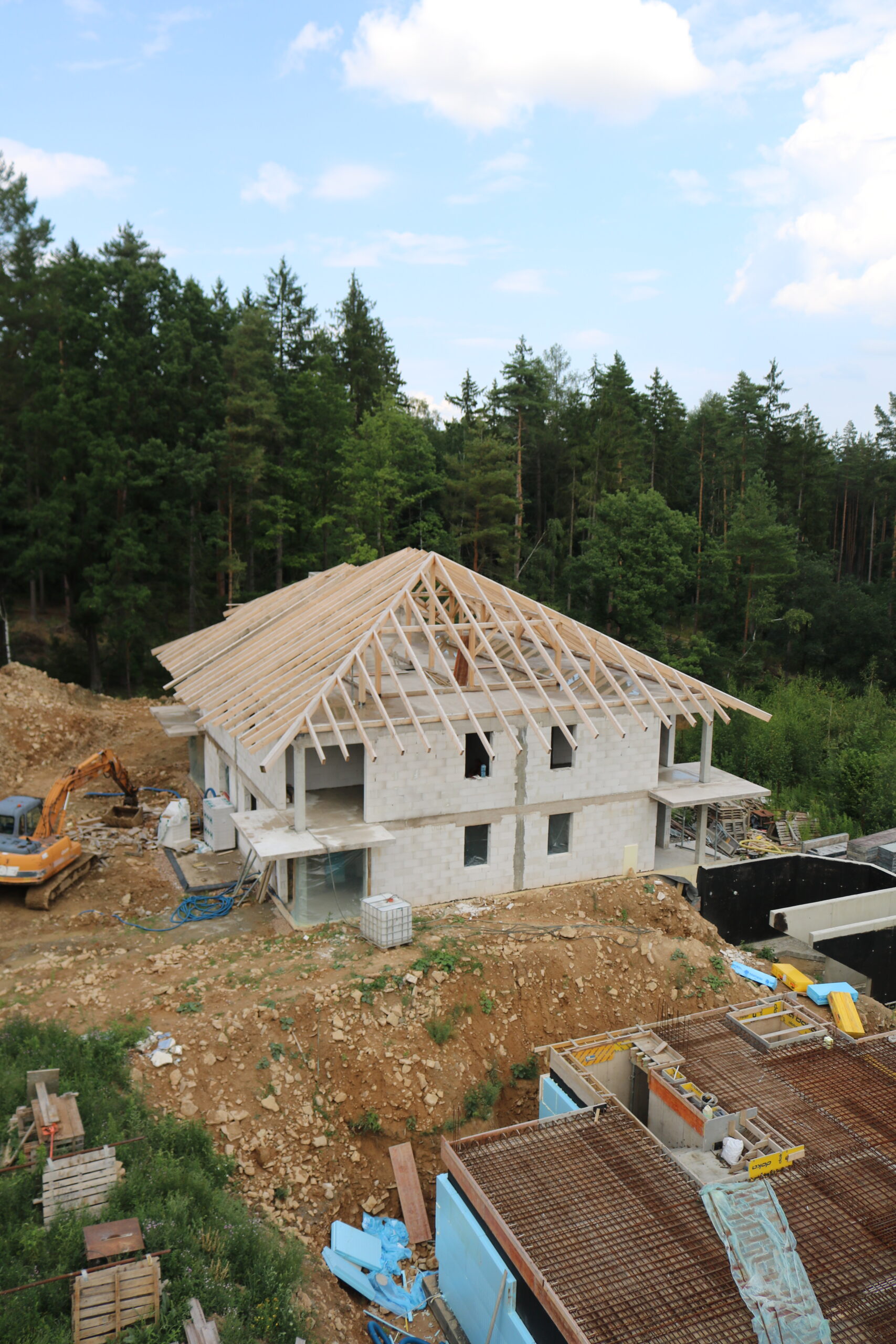 Wille Forest - Apartament